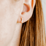 Sierra Stud Earrings