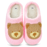 Beary Cute Slippers | iScream