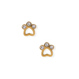 Paw Print Stud Earrings